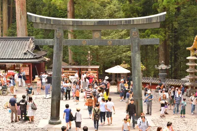 DSC_3865 (Large).JPG